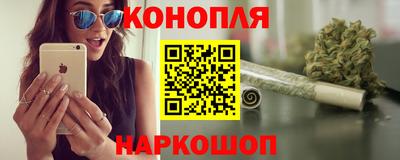 гашик Кудрово