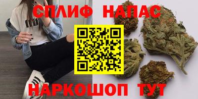 индика Кудымкар