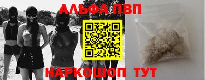 сатива Кузнецк