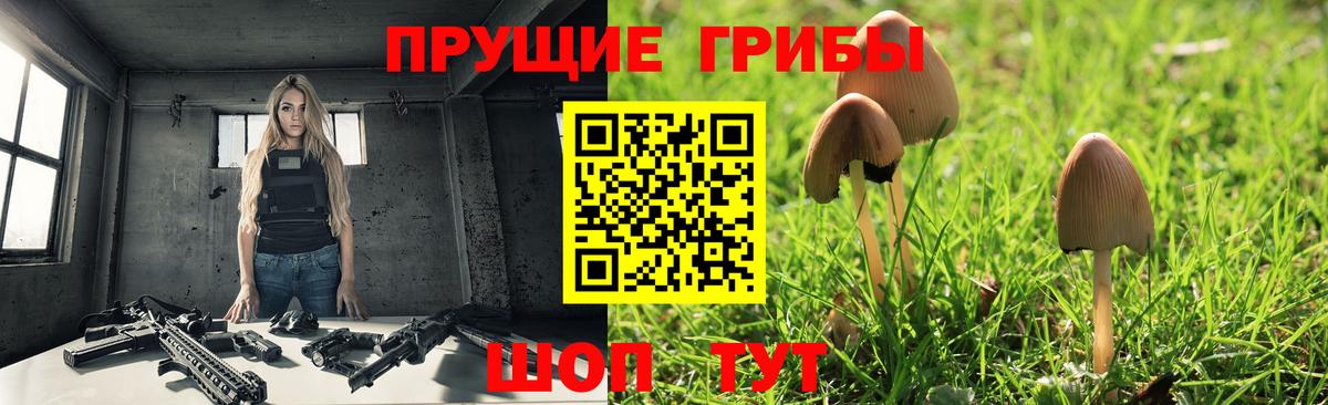 Большой Камень  Галлюциногенные грибы GOLDEN TEACHER  Вход с VPN 
