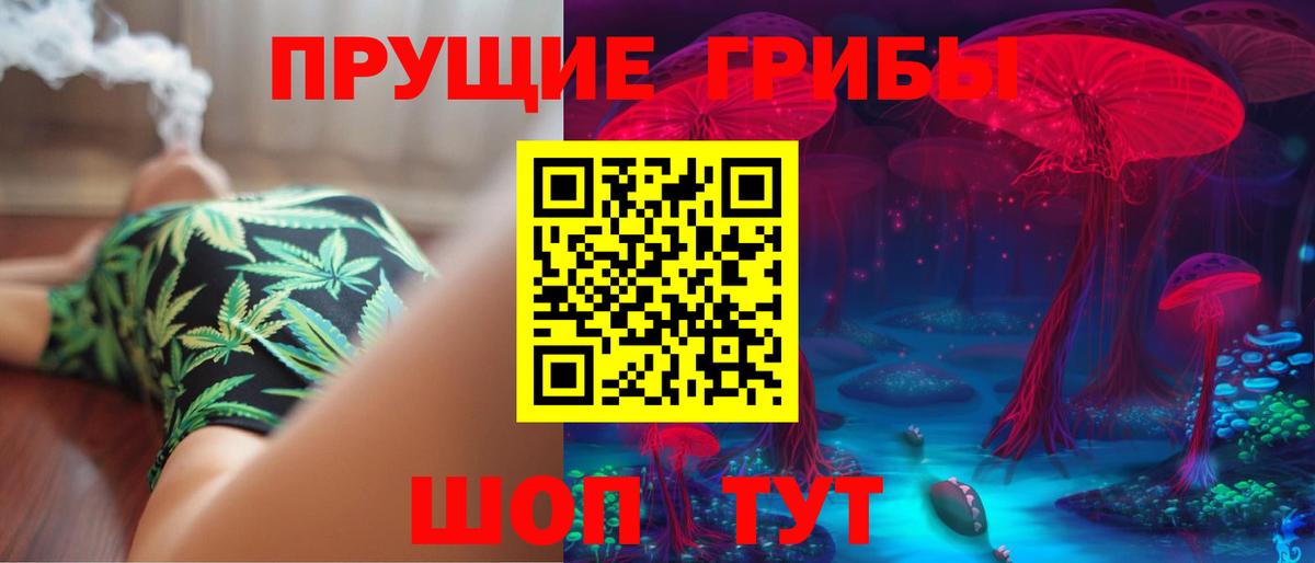 Псилоцибиновые грибы мицелий Большой Камень